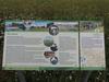 dscn0264.jpg