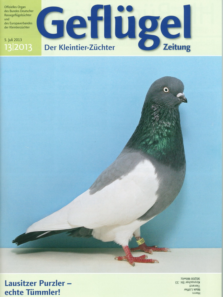 Lausitzer Purzler - echte Tmmler !